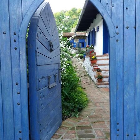 Sokolar Casa Anca Cheile Nerei 빌라 외부 사진