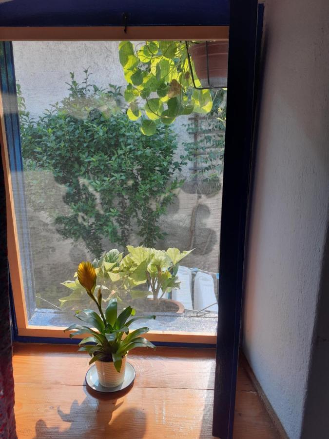 Sokolar Casa Anca Cheile Nerei 빌라 외부 사진