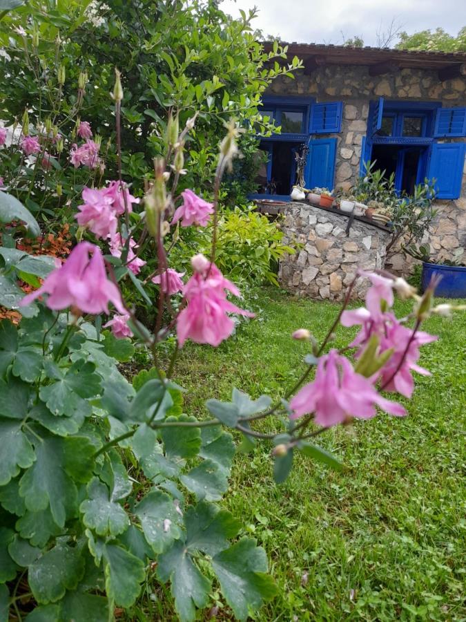 Sokolar Casa Anca Cheile Nerei 빌라 외부 사진