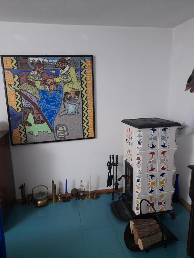 Sokolar Casa Anca Cheile Nerei 빌라 외부 사진