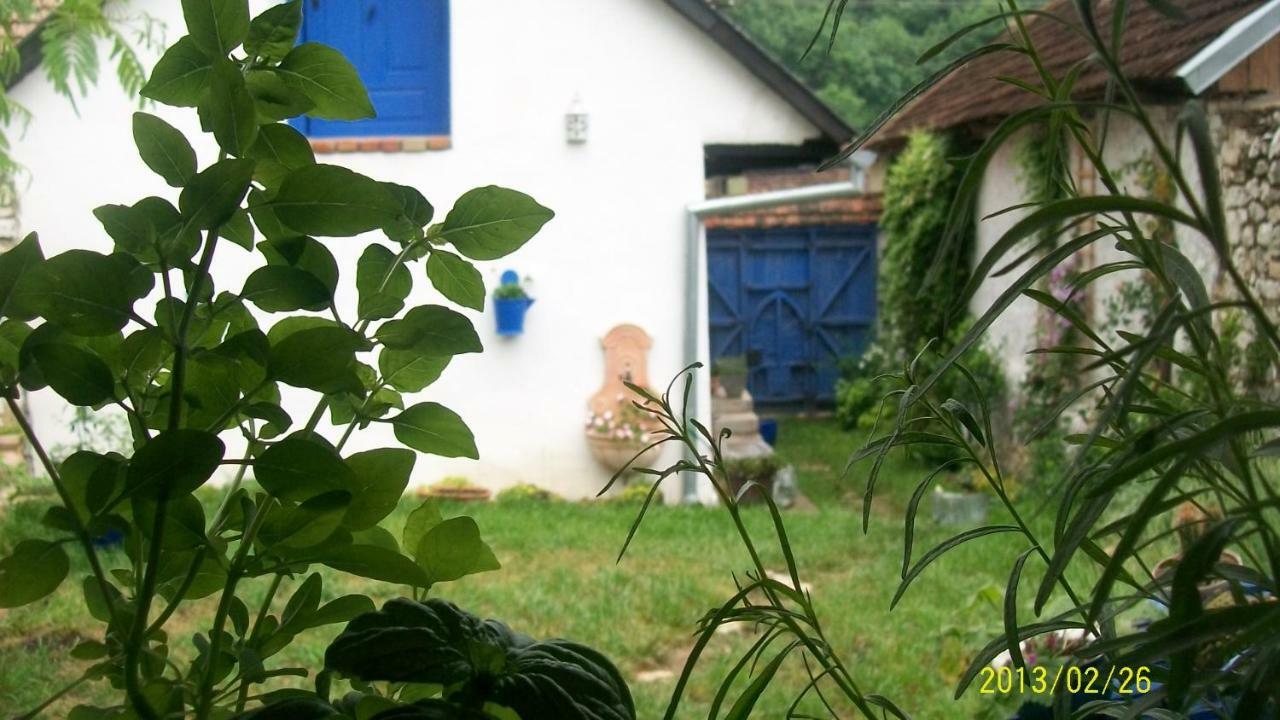 Sokolar Casa Anca Cheile Nerei 빌라 외부 사진
