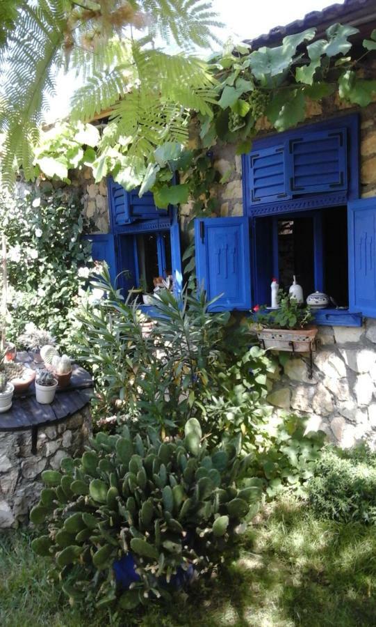 Sokolar Casa Anca Cheile Nerei 빌라 외부 사진