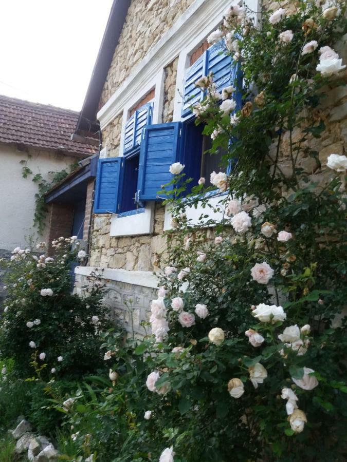 Sokolar Casa Anca Cheile Nerei 빌라 외부 사진