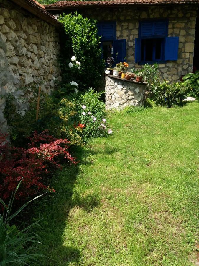 Sokolar Casa Anca Cheile Nerei 빌라 외부 사진