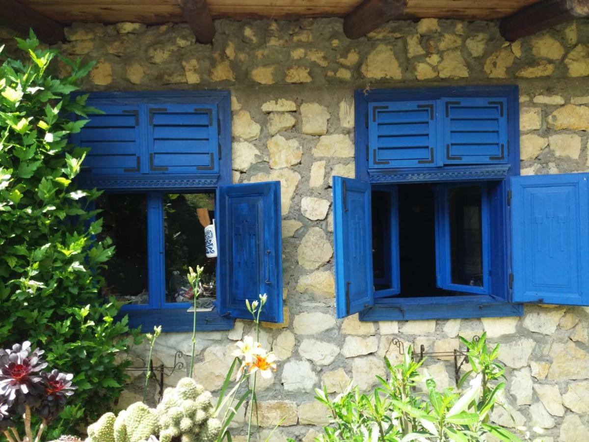 Sokolar Casa Anca Cheile Nerei 빌라 외부 사진
