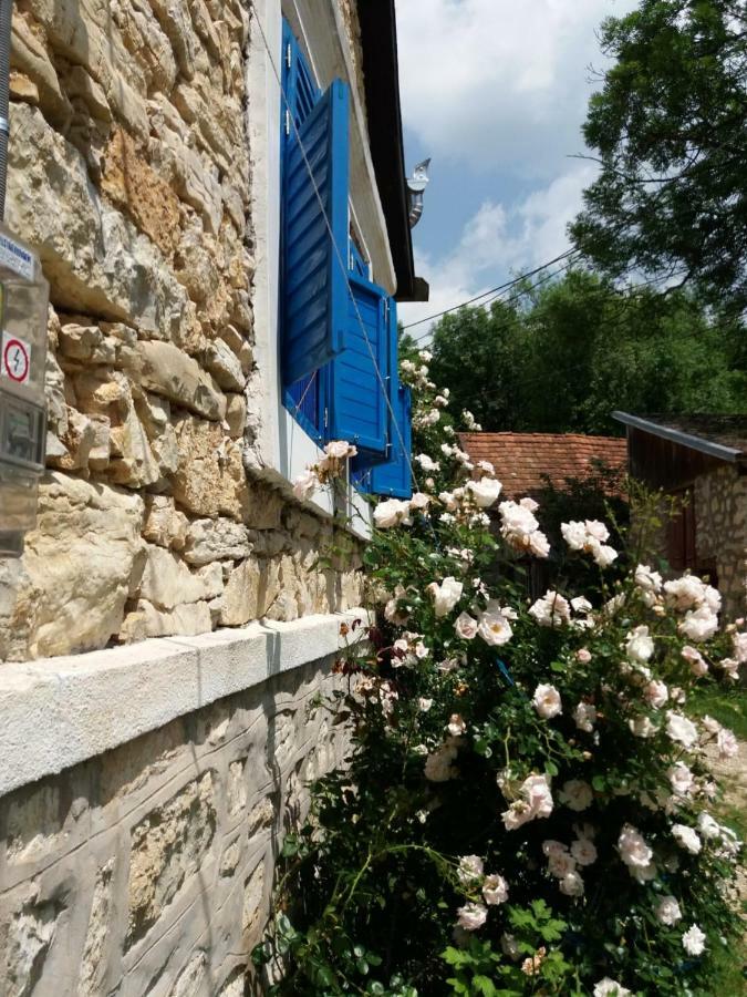 Sokolar Casa Anca Cheile Nerei 빌라 외부 사진